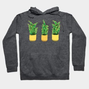 Snake Plant Hoodie